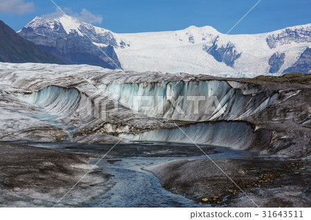 Wrangell Wrangell 31643511