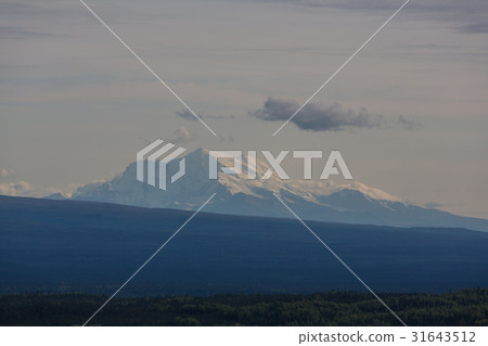 Wrangell Wrangell 31643512