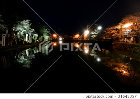 上杉神社的夜景 上杉神社的夜景 31645357