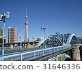 Azumabashi和東京天空樹 31646336