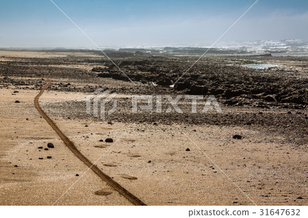 Morning at the Moroccan coast of the Atlantic Morning at the Moroccan coast of the Atlantic 31647632