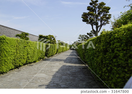 Ikigaki Ogi-no-Yabe Yashiki Matsusaka Castle Ruge Samurai Yashiki-machi 31647800