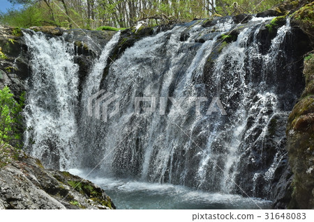 Mt. Takeshi's waterfall (Chino, Nagano Prefecture) 31648083