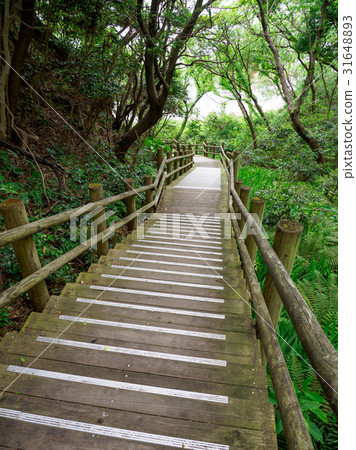 Urayasu coast 31648893