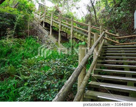 Urayasu coast Urayasu coast 31648894