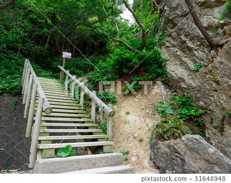 Urayasu coast 31648948