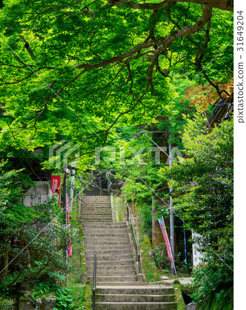 Mitsutokozan Mitsubushiji接近道路 31649204