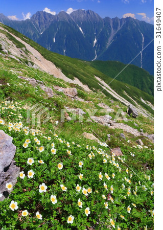 Tingulma and Hodaka mountain range of the North Alps and Kasagatake ridgeline 31649407