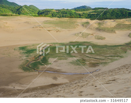 Tottori sand dunes 31649517