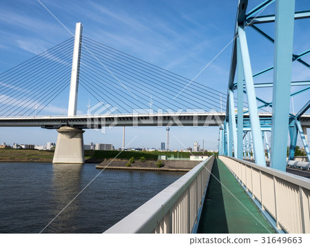 Creek harp bridge 31649663