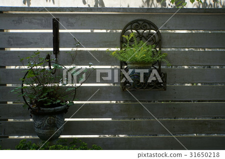 Shade garden wood fence Shade garden wood fence 31650218