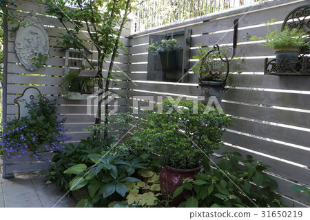 Shade garden wood fence 31650219