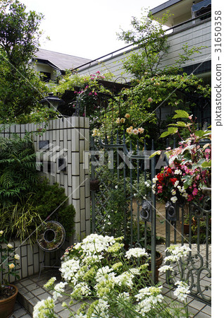 掛在房子的大門周圍 31650358