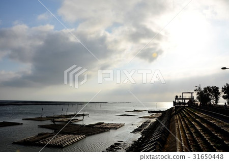 風景 風景 31650448