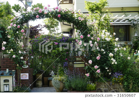 The entrance garden of the rosearch house The entrance garden of the rosearch house 31650607