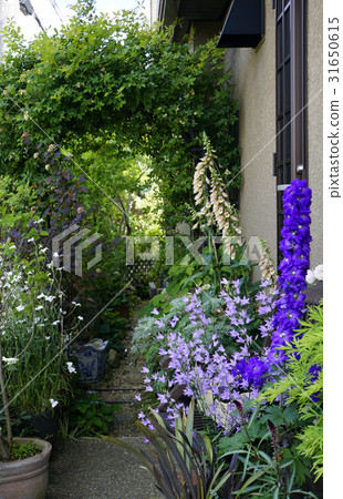 Balaarch garden garden Balaarch garden garden 31650615