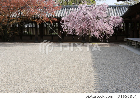 Horyuji temple Horyuji temple 31650814