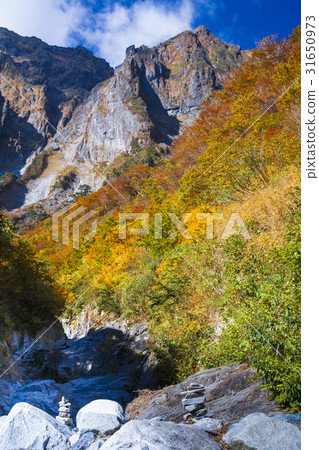 Kaneko Tanigawa的秋葉（垂直） 31650973