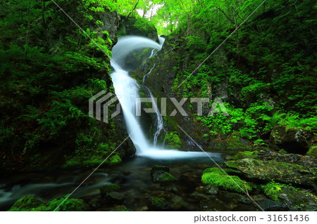 Seasonal waterfall in the summer 31651436