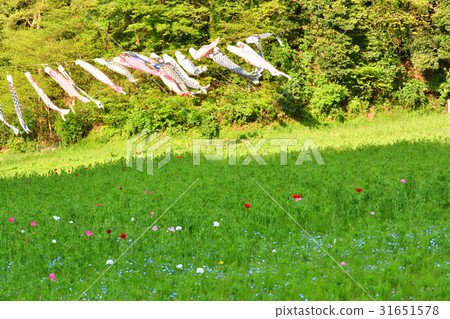 橫須賀·久里濱花國 橫須賀·久里濱花國 31651578