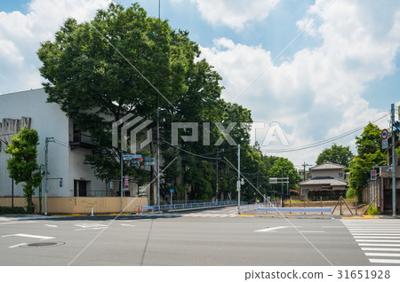 Setagaya walk, Shinkachi-dori Ueno hair, Komazawa street Tamaomiya front intersection 31651928