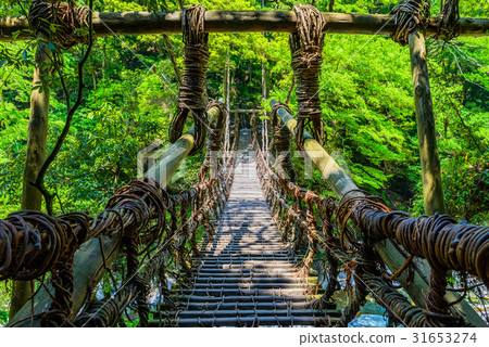 Kazura Bridge Tokushima日本亞洲 31653274