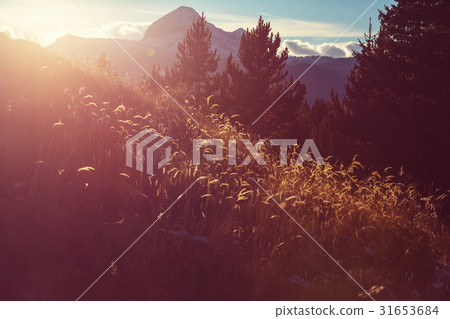 Colorado mountains 31653684
