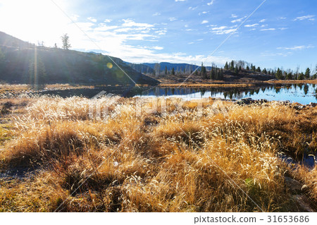 Colorado mountains Colorado mountains 31653686