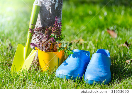 Garden tool Garden tool 31653690