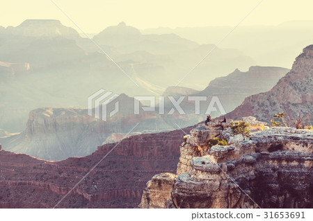 Grand Canyon 31653691