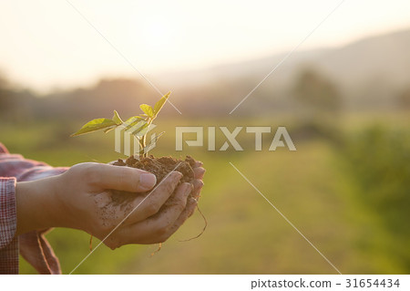 Soil cultivated dirt agriculture Field Soil cultivated dirt agriculture Field 31654434
