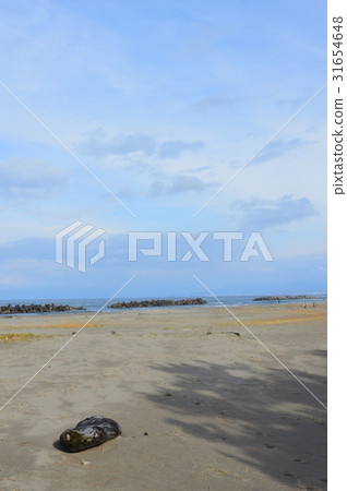 Sandy beach · driftwood (Iwasehama Beach / Toyama City Toyama Iwase) 31654648