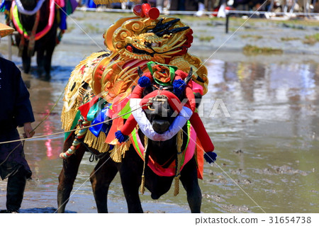 Mibu的花卉水稻 Mibu的花卉水稻 31654738