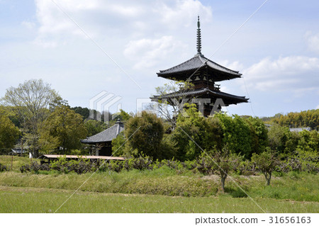 法起寺 法起寺 31656163