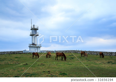 Okinawa Yonagunijima Higashi-zaki lighthouse and Yonaguni horse of Higashi-zaki 31656194