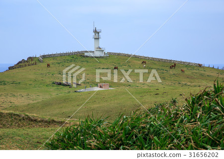 Okinawa Yonagunijima Higashi-zaki lighthouse and Yonaguni horse of Higashi-zaki 31656202