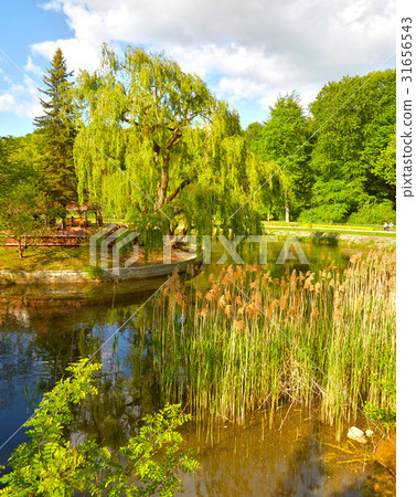 Beautiful landscape in Southern Poland near 31656543