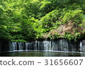 Shiraito瀑布 31656607