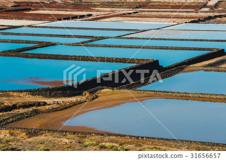 salt mine at the island of lanzarote 31656657