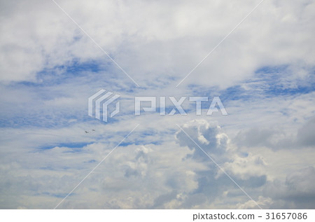 The white clouds and blue sky.Brightness. 31657086
