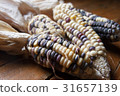 曬乾著色紫玉米蜻蜓七彩玉米玉米 31657139