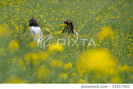 強奸的領域在盛開和遊人開花 強奸的領域在盛開和遊人開花 31657401