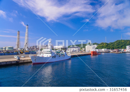[神奈川縣]停泊在栗濱港的船隻 31657456