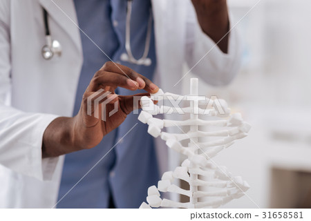 Close up of a scientists hand holding the DNA Close up of a scientists hand holding the DNA 31658581