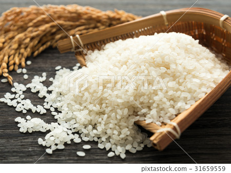 Rice grain agricultural product bamboo monkey 31659559