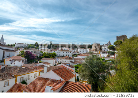 The landscape of Obidos 31659732