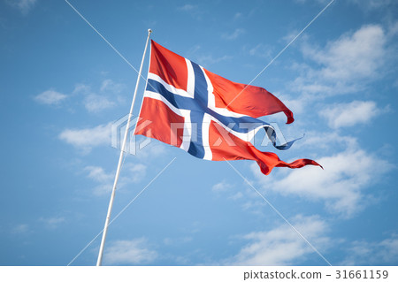 Norwegian flag waving in the wind 31661159