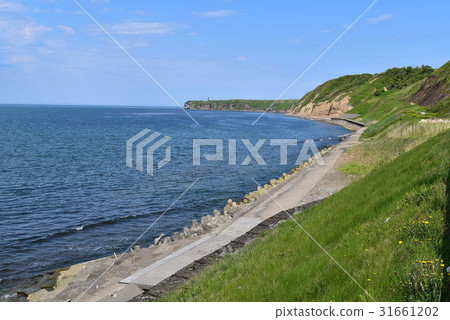 Noguchi Cape 31661202