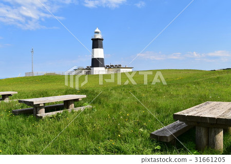 Noguchi Cape Noguchi Cape 31661205