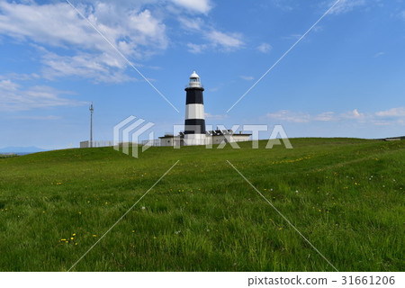 Noguchi Cape Noguchi Cape 31661206